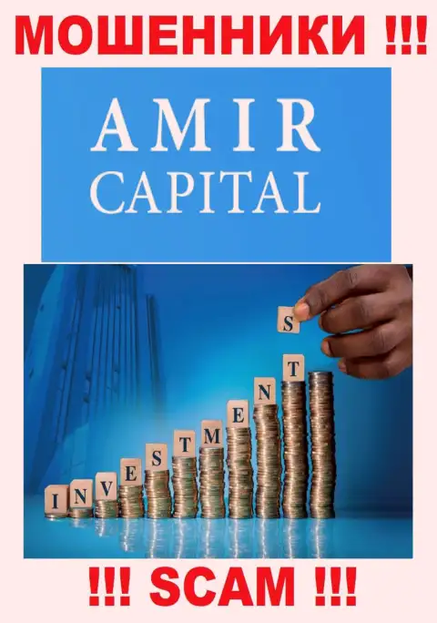 Не отправляйте кровно нажитые в Amir Capital, направление деятельности которых - Инвестирование