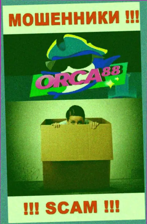 Начальство Orca88 Com засекречено, у них на официальном сервисе о себе инфы нет
