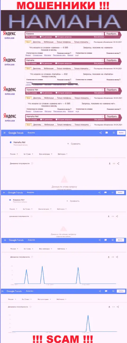 Online-запросы по бренду аферистов Hamaha в поисковиках глобальной сети internet