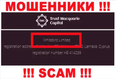 На официальном информационном портале Trust-M-Capital Com отмечено, что указанной организацией владеет Вайтберд Лтд