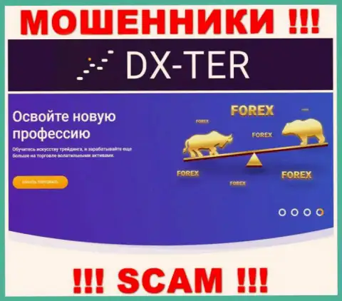С компанией DX Ter работать довольно опасно, их сфера деятельности ФОРЕКС - ловушка