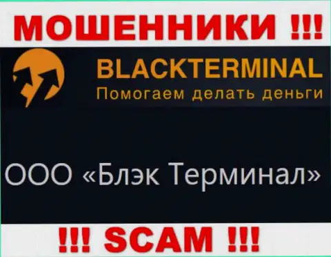 На официальном информационном ресурсе BlackTerminal Ru сообщается, что юридическое лицо организации - ООО Блэк Терминал