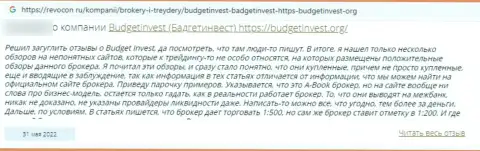 Автор отзыва говорит, что Budget Invest - это ВОРЫ !!! Совместно работать с которыми не нужно