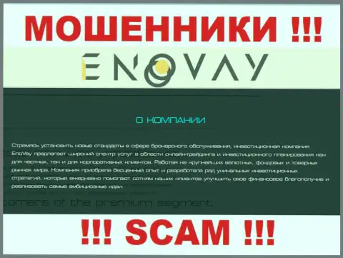 Так как деятельность интернет-мошенников EnoVay Com - это сплошной обман, лучше будет сотрудничества с ними избегать